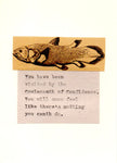 Coelacanth Of Confidence Card | Funny Inspirational Weird Fish Humor