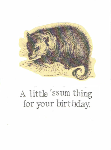 A Little 'Ssum Thing For Your BIrthday Opossum Card | Animal Funny Wildlife Humor