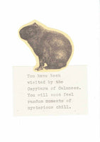 Capybara of Calmness Card | Funny Inspirational Weird Animal Humor