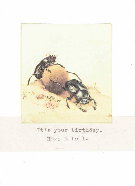 Dung Beetle Have A Ball Funny Birthday Card | Insect Humor Weird Gothic