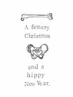 Femury Christmas And Hippy New Year Funny Christmas Card | Holiday Science Humor - Blue Specs Studio