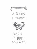 Femury Christmas And Hippy New Year Funny Christmas Card | Holiday Science Humor - Blue Specs Studio