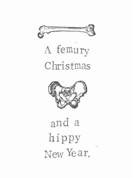 Femury Christmas And Hippy New Year Funny Christmas Card | Holiday Science Humor - Blue Specs Studio