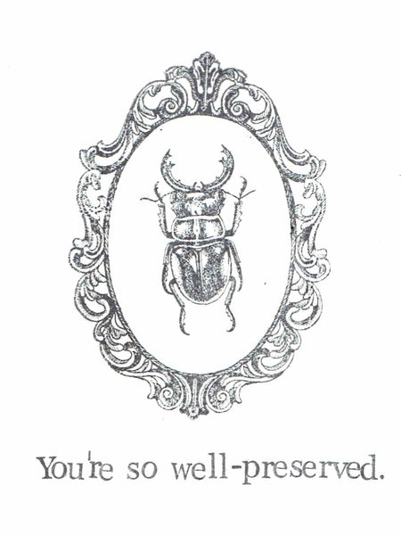 You're So Well Preserved Funny Birthday Card Taxidermy Humor Natural History Insect Gothic