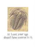 At Least Your Age Doesn't Have Commas Funny Birthday Card | Fossil Science Humor Natural History