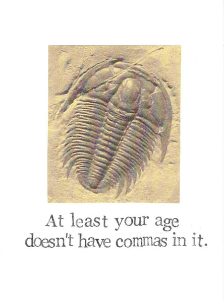 At Least Your Age Doesn't Have Commas Funny Birthday Card | Fossil Science Humor Natural History