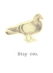 Stay Coo Funny Birthday Card Pigeon Pun Bird Humor 