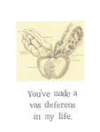 A Vas Deferens In My Life Card |  Funny Men Anatomy Vasectomy Medical Humor Science Pun